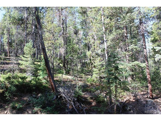 31 Sunflower Rd, Black Hawk, CO 80422