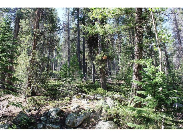 31 Sunflower Rd, Black Hawk, CO 80422
