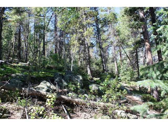31 Sunflower Rd, Black Hawk, CO 80422