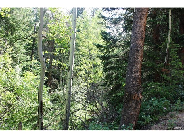 31 Sunflower Rd, Black Hawk, CO 80422
