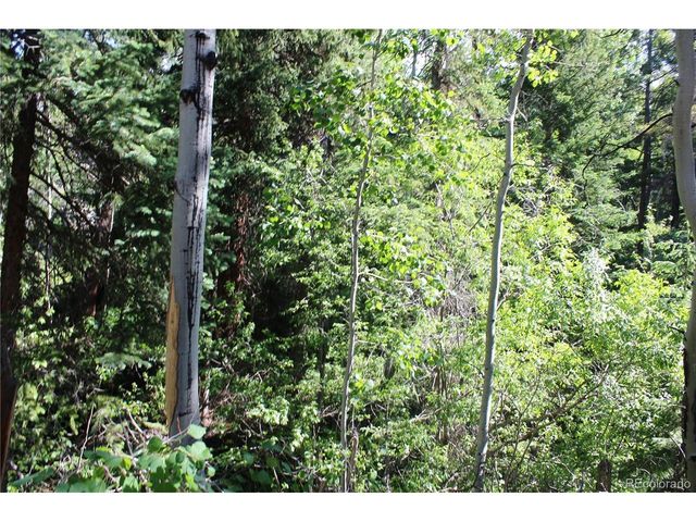 31 Sunflower Rd, Black Hawk, CO 80422