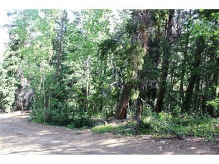 31 Sunflower Rd, Black Hawk, CO 80422