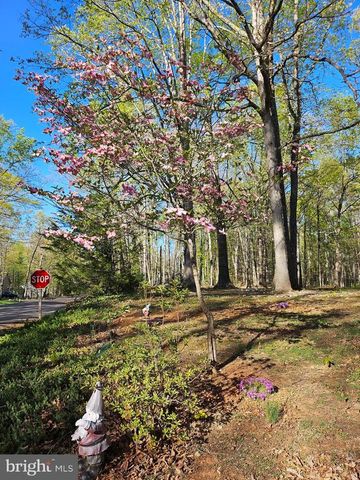 201 WASHINGTON ST, Locust Grove, VA 22508