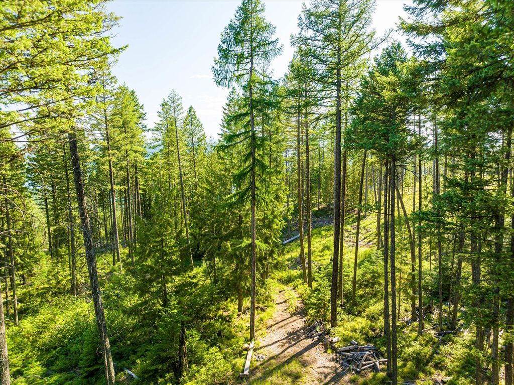 Nhn Big Mountain Road, Whitefish, MT 59937 photo 11