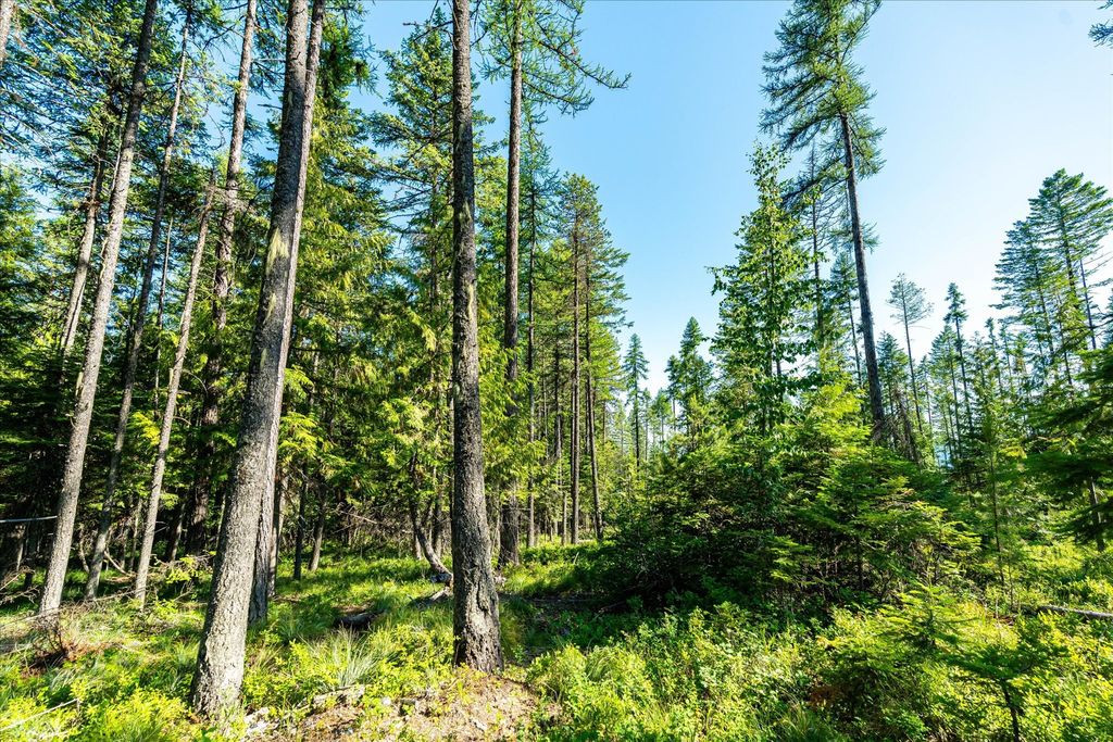 Nhn Big Mountain Road, Whitefish, MT 59937 photo 12