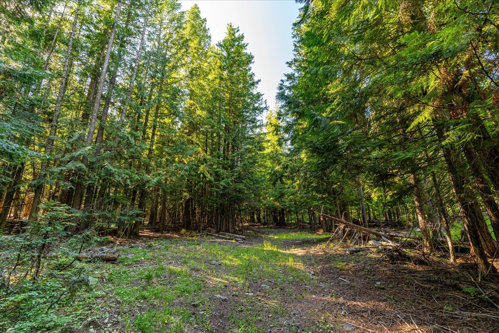 Nhn Big Mountain Road, Whitefish, MT 59937 photo 15