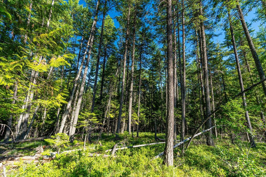 Nhn Big Mountain Road, Whitefish, MT 59937 photo 19