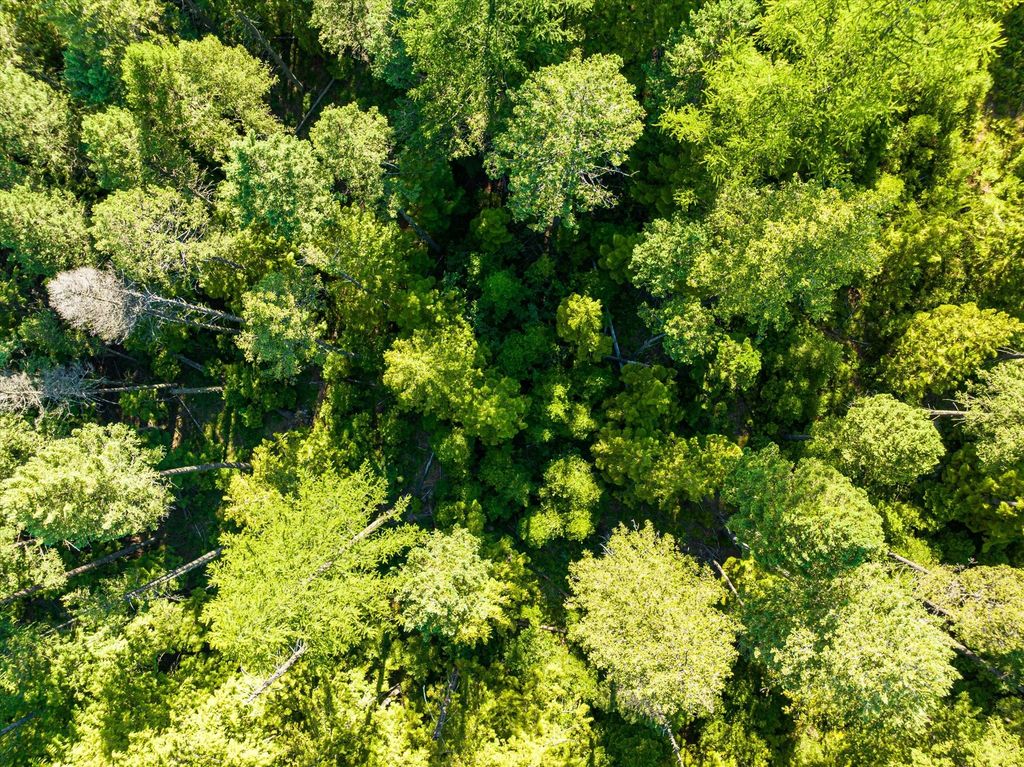 Nhn Big Mountain Road, Whitefish, MT 59937 photo 24