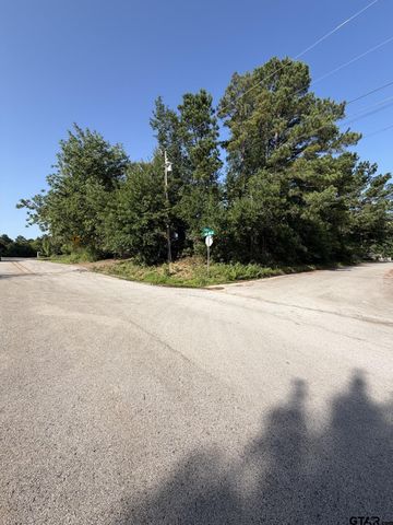 1520 Skidmore Ln., Tyler, TX 75703