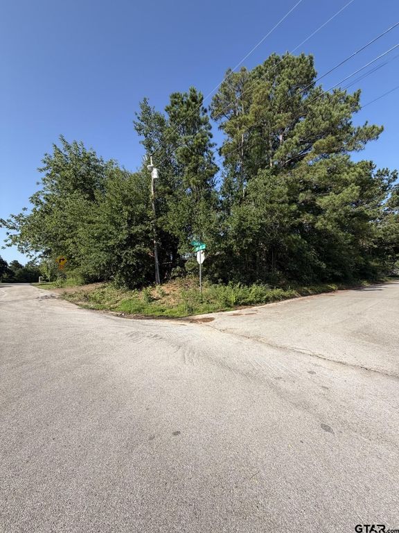 1520 Skidmore Ln., Tyler, TX 75703