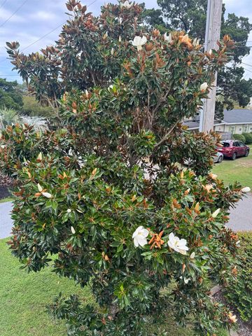 4612 Hedrick St., North Myrtle Beach, SC 29582