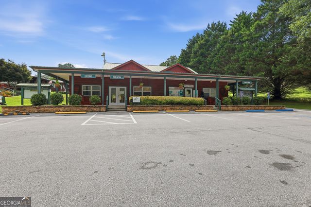446 River Vista Drive, Dillard, GA 30537
