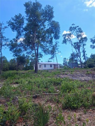 20881 SE 142ND PLACE, Umatilla, FL 32784