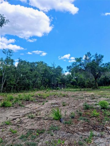 20881 SE 142ND PLACE, Umatilla, FL 32784