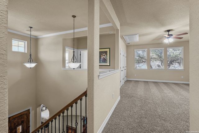 18523 Wild Onion, San Antonio, TX 78258