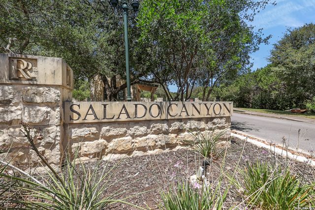 18523 Wild Onion, San Antonio, TX 78258