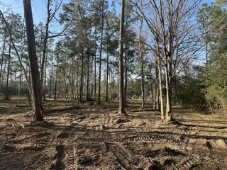 10698 Ruger Road, Willis, TX 77378