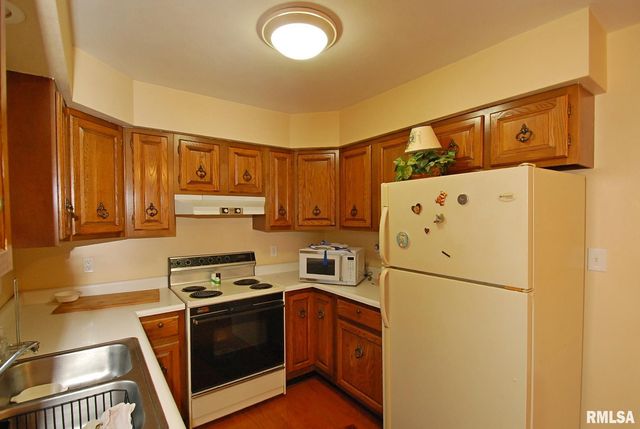 11105 W WOODHAVEN Drive, Hanna City, IL 61536