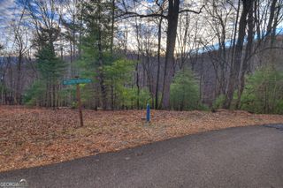 LT M57 Walnut Mountain Court, Ellijay, GA 30536