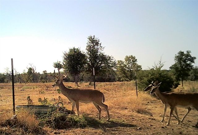 275 Starview RD, Fredericksburg, TX 78624