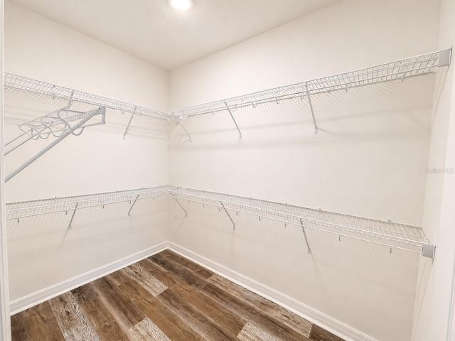 11169 HANLON TERRACE ALLEY, Winter Garden, FL 34787