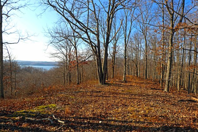 0 Ridge Top Rd, Stewart, TN 37175