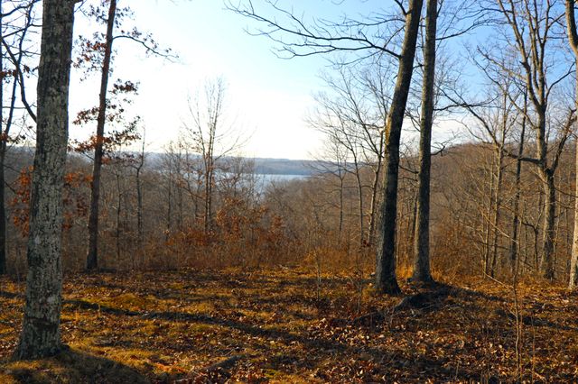 0 Ridge Top Rd, Stewart, TN 37175