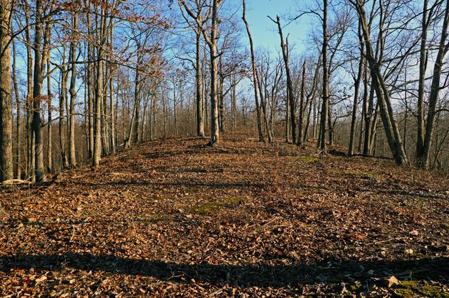 0 Ridge Top Rd, Stewart, TN 37175