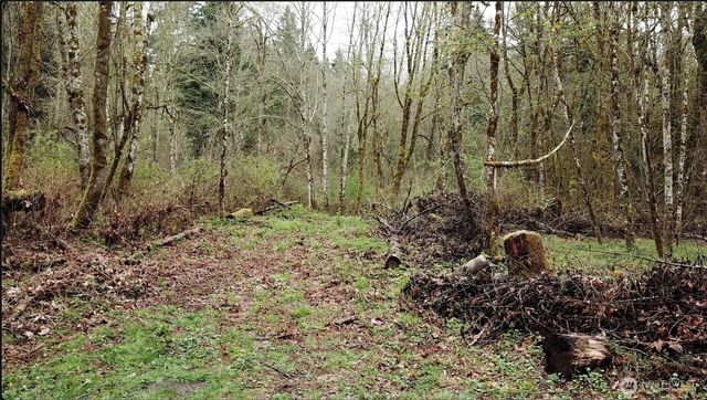 19009 51st Avenue SE, Bothell, WA 98012