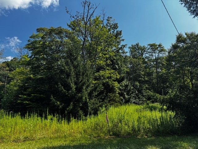 370 Old Hickory Flt, Jefferson Twp, PA 15501