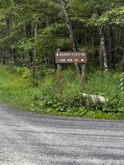 370 Old Hickory Flt, Jefferson Twp, PA 15501