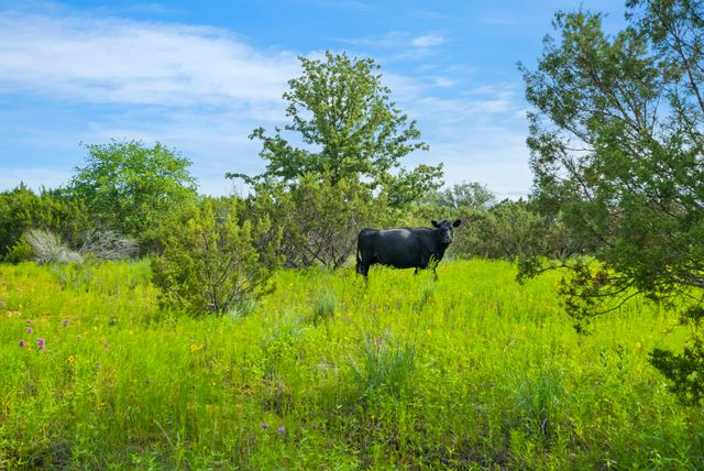 1435 Private Road 1129, Stephenville, TX 76401