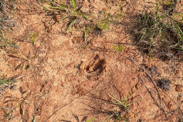 1435 Private Road 1129, Stephenville, TX 76401