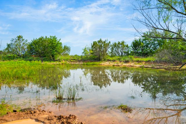 1435 Private Road 1129, Stephenville, TX 76401