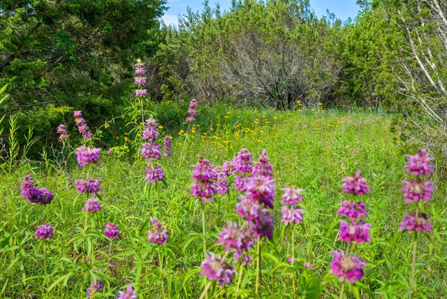 1435 Private Road 1129, Stephenville, TX 76401