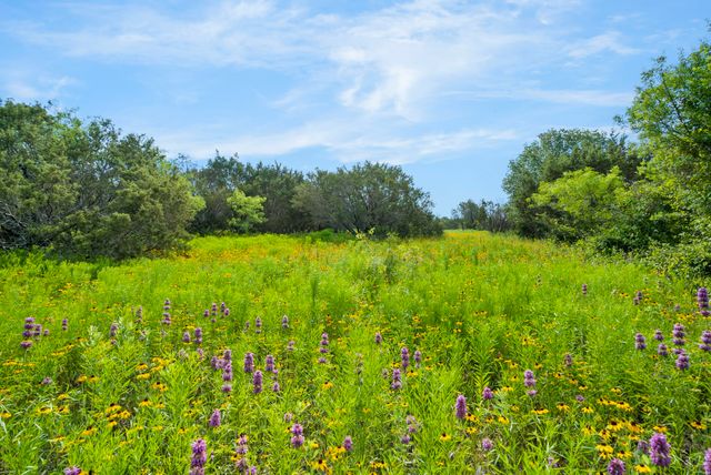 1435 Private Road 1129, Stephenville, TX 76401