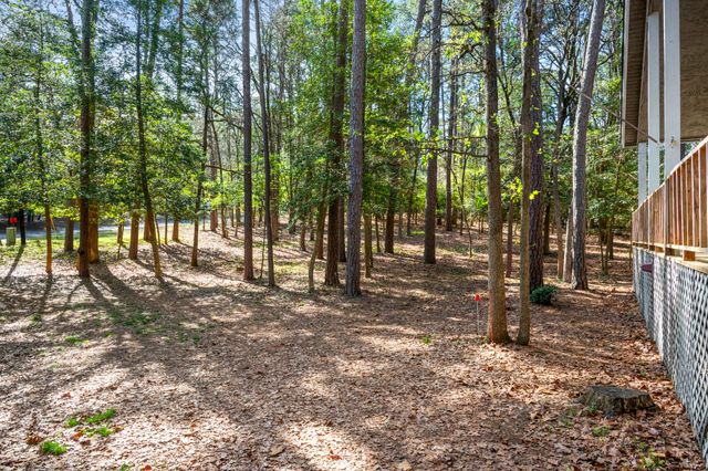 159 Cherrywood Lane, Holly Lake Ranch, TX 75765