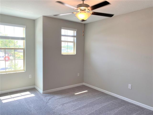 4408 SUMMER SAVORY STREET, Tampa, FL 33619