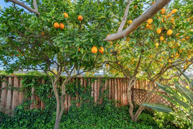 1596 Bonnie Joy Avenue, San Jose, CA 95129