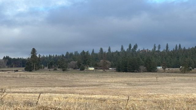 413XX N Short Rd, Deer Park, WA 99006