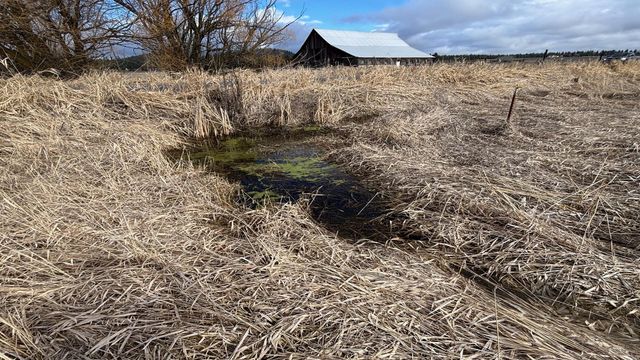 413XX N Short Rd, Deer Park, WA 99006