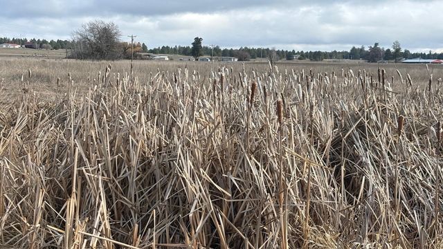 413XX N Short Rd, Deer Park, WA 99006