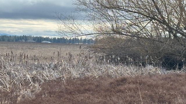 413XX N Short Rd, Deer Park, WA 99006