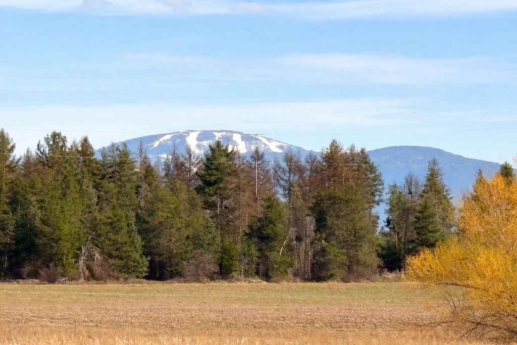 413XX N Short Rd, Deer Park, WA 99006