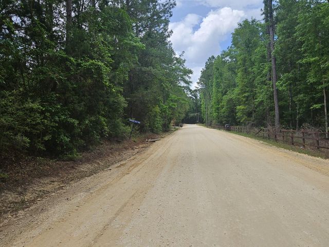 2 Acres Tyner Ln, Defuniak Springs, FL 32435