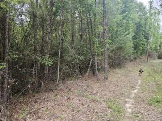 2 Acres Tyner Ln, Defuniak Springs, FL 32435