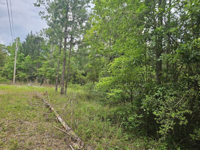 2 Acres Tyner Ln, Defuniak Springs, FL 32435