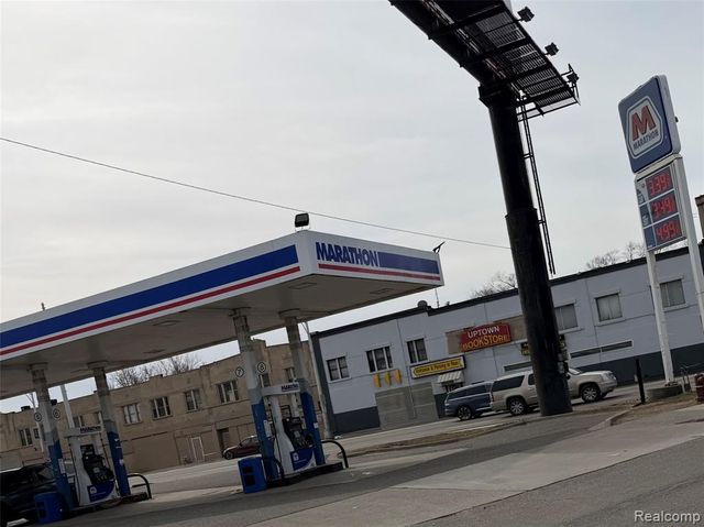 73 Grove Street, Highland Park, MI 48203