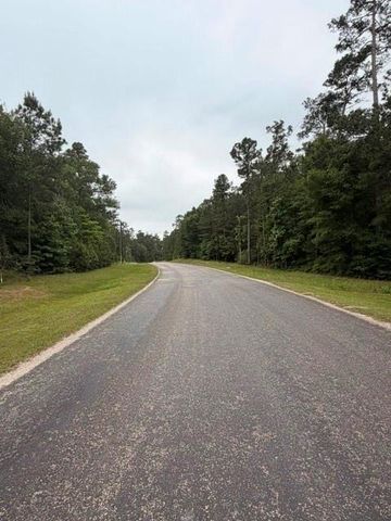 TBD Texas Grand Road, Huntsville, TX 77340