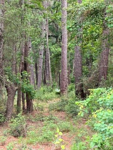 TBD Texas Grand Road, Huntsville, TX 77340